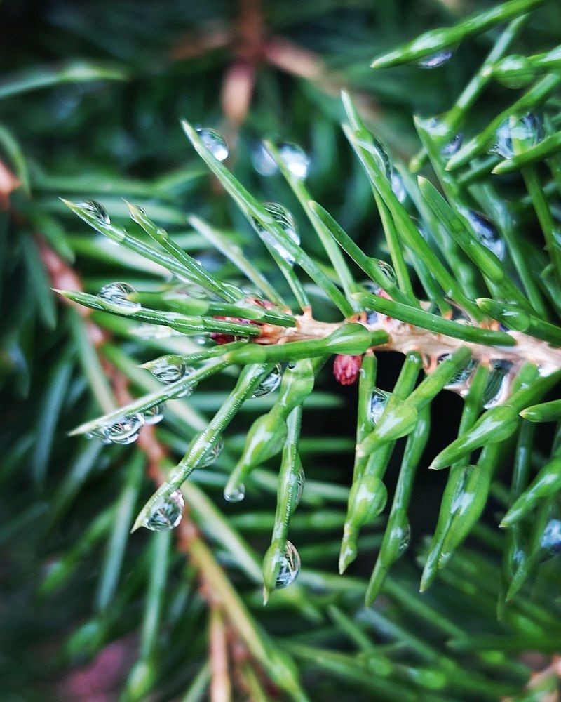 Photograph by Нина Паршина