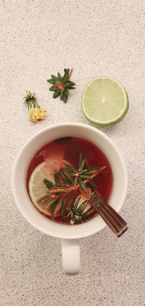 Photograph by Elisabeth Vinther