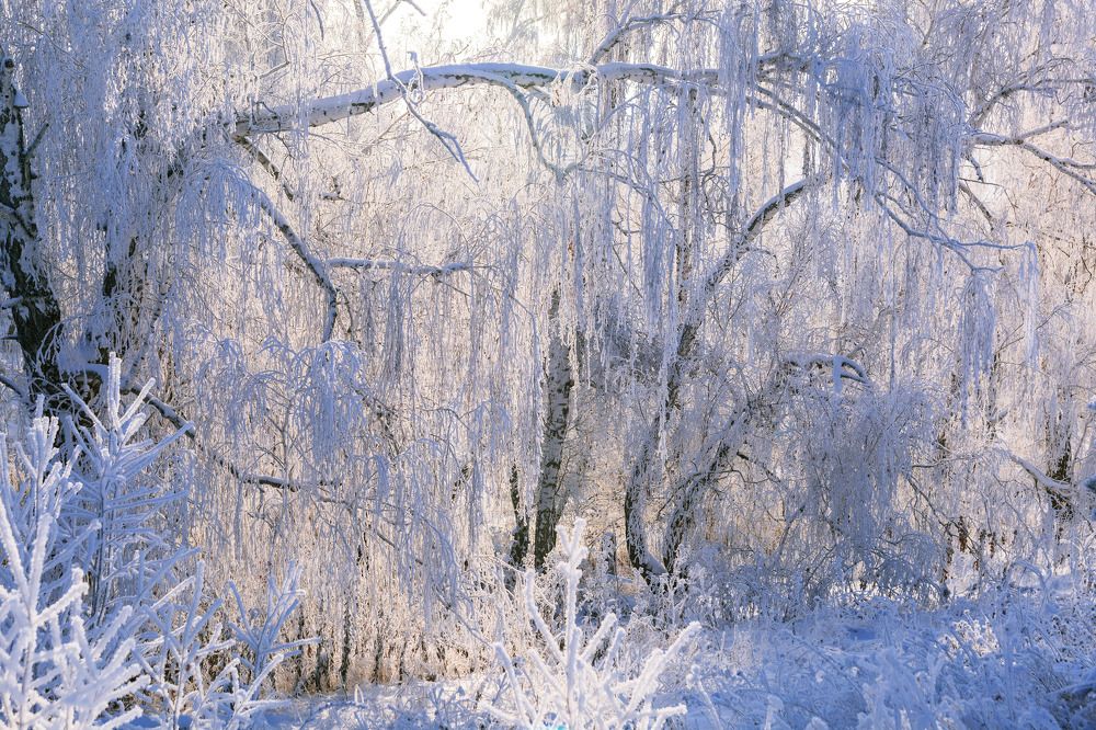 Фотография автора Рамиль Фаттахов