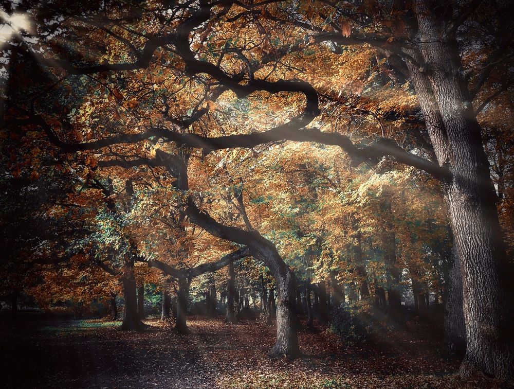 Photograph by Ирина Саакова