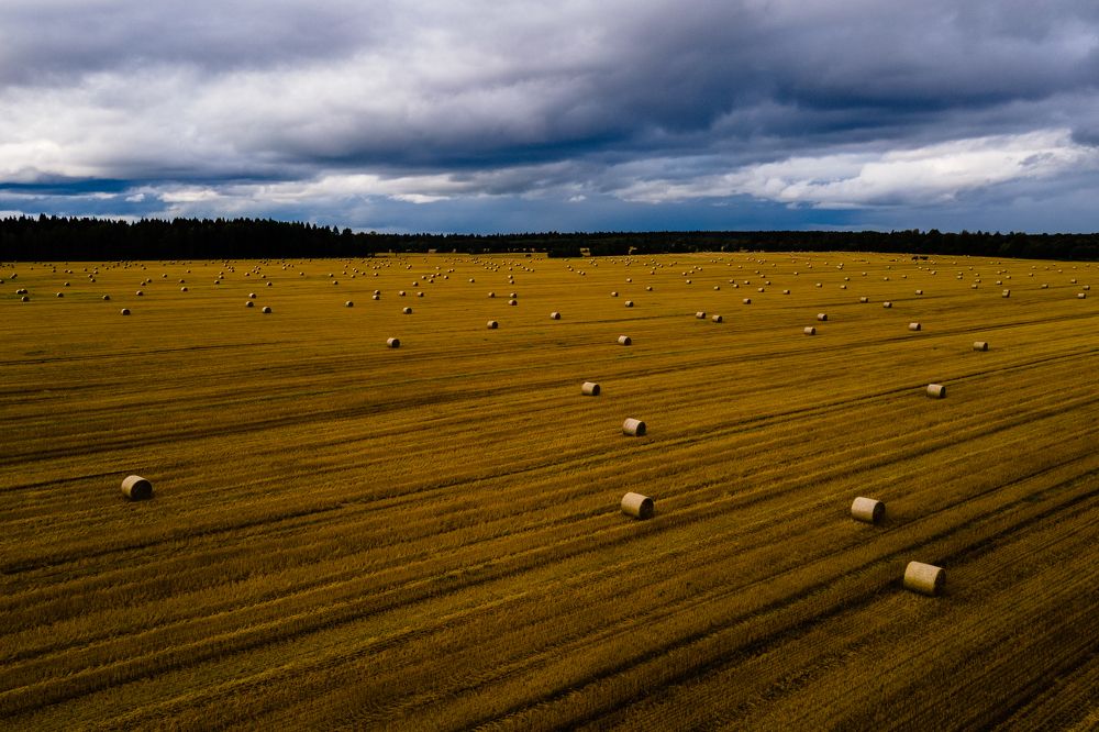 Photograph by Аркадий Старочкин