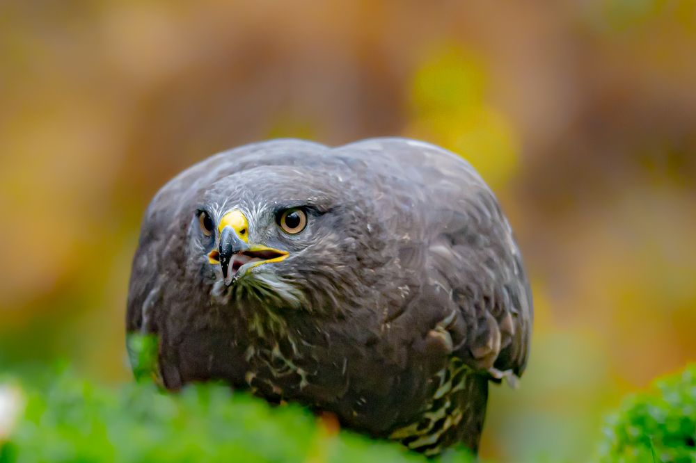 Photograph by Ellen Lichtenheldt