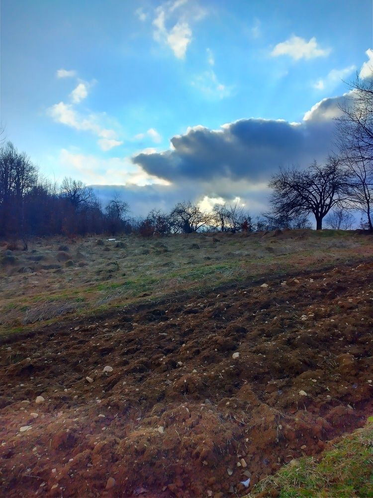 Photograph by Надія Дичка
