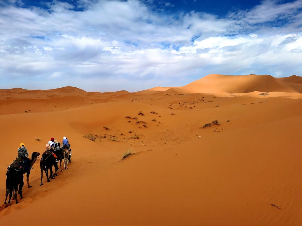 Photograph by Андрей