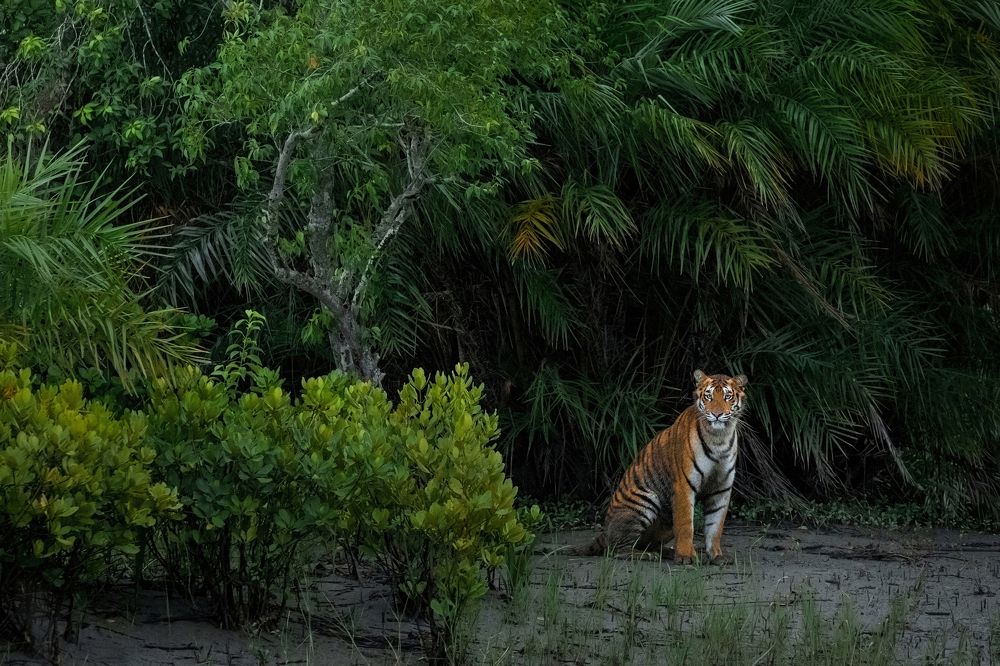 THE PRINCESS IN HER PROVINCE