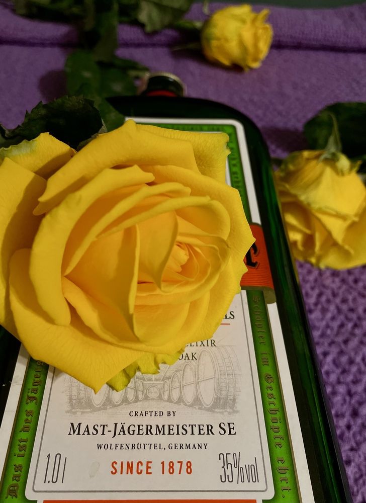 Photograph by Людмила Казак