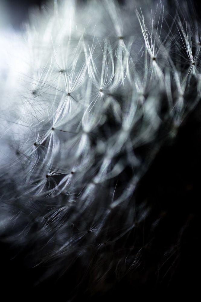 Photograph by Александр Тарханов