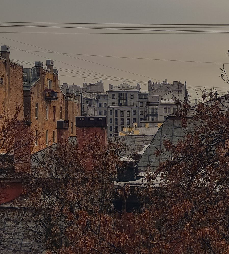 Photo #7268200