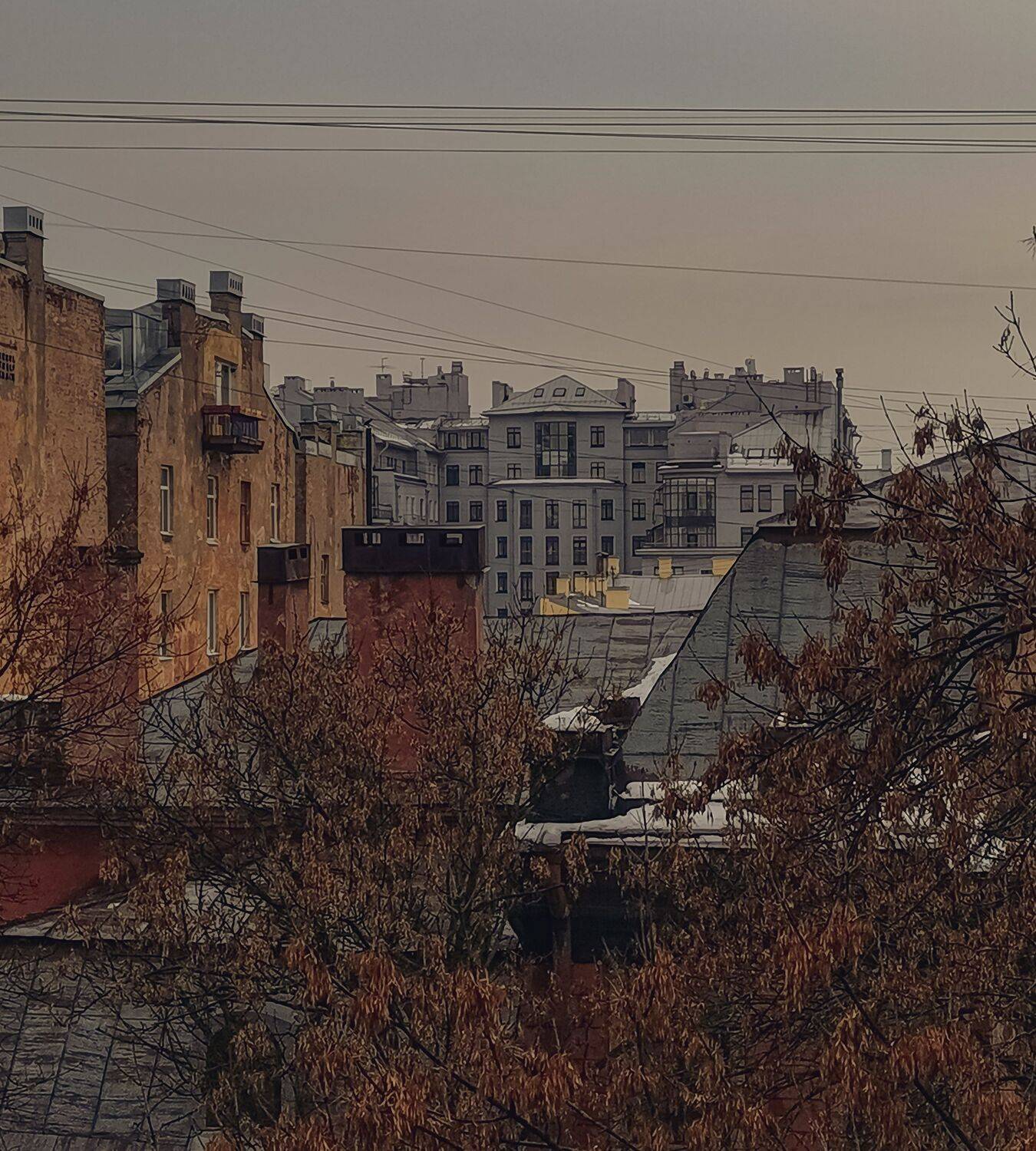 Photo #7268200