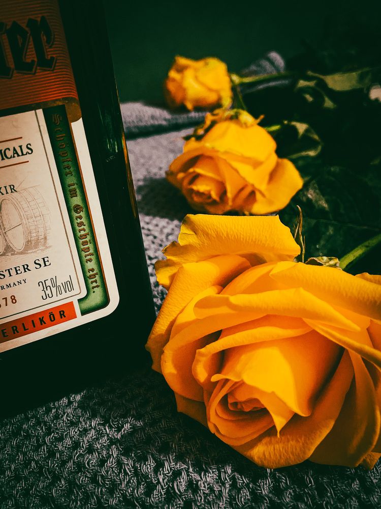 Photograph by Людмила Казак