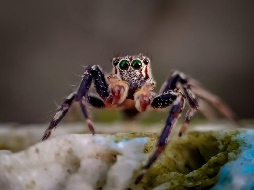 Photograph by Dede Deka