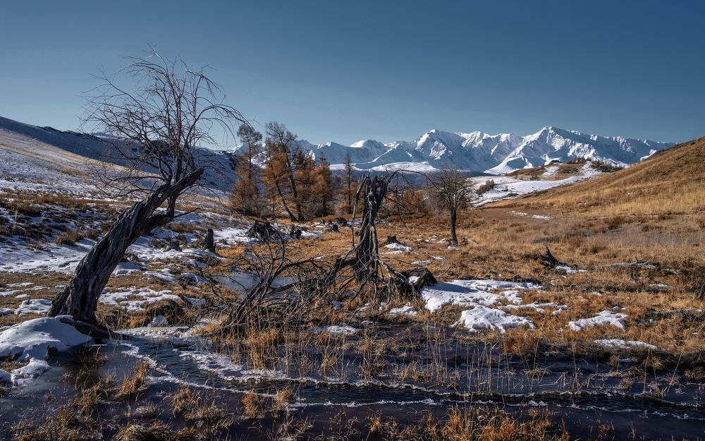 Photograph by Николай Васильев