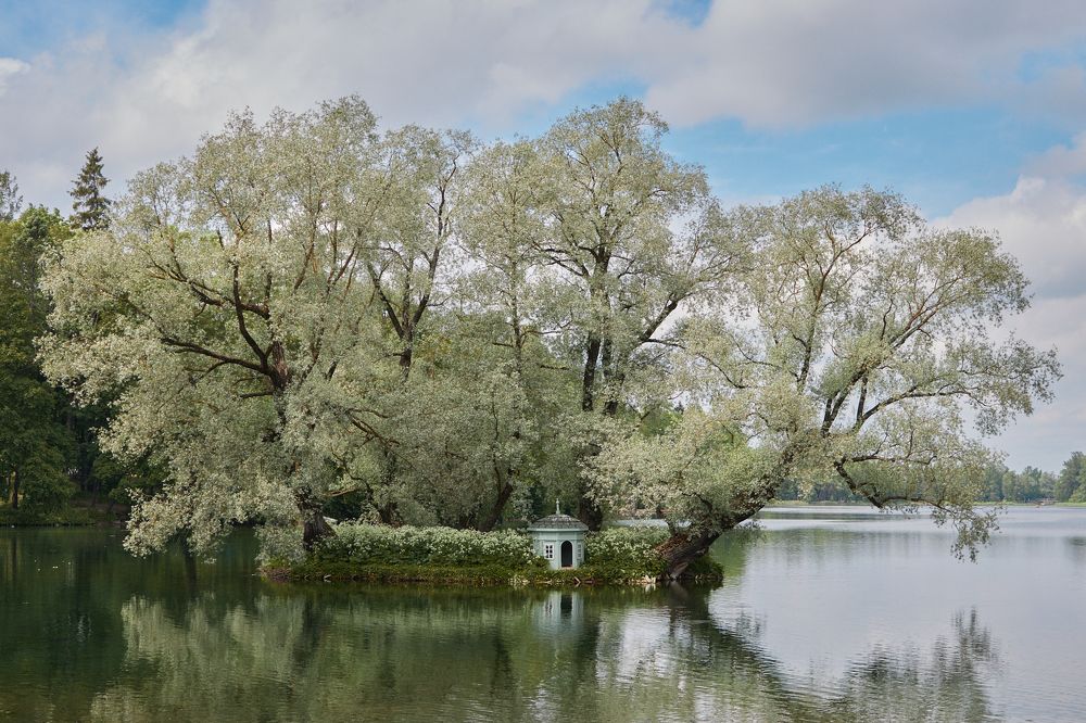 Фотография автора Александра Янчуковская