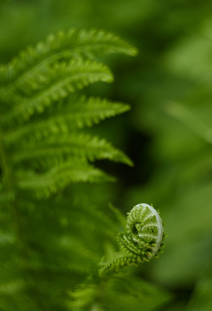 Фотография автора Александра Янчуковская