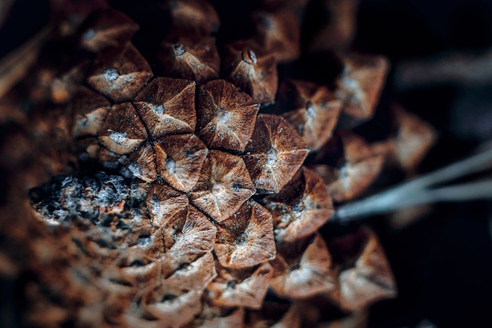 Photograph by Юлия Макаренко