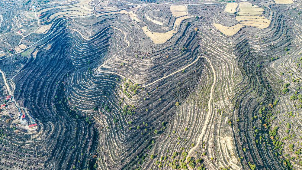 Photograph by AVIC A.M.