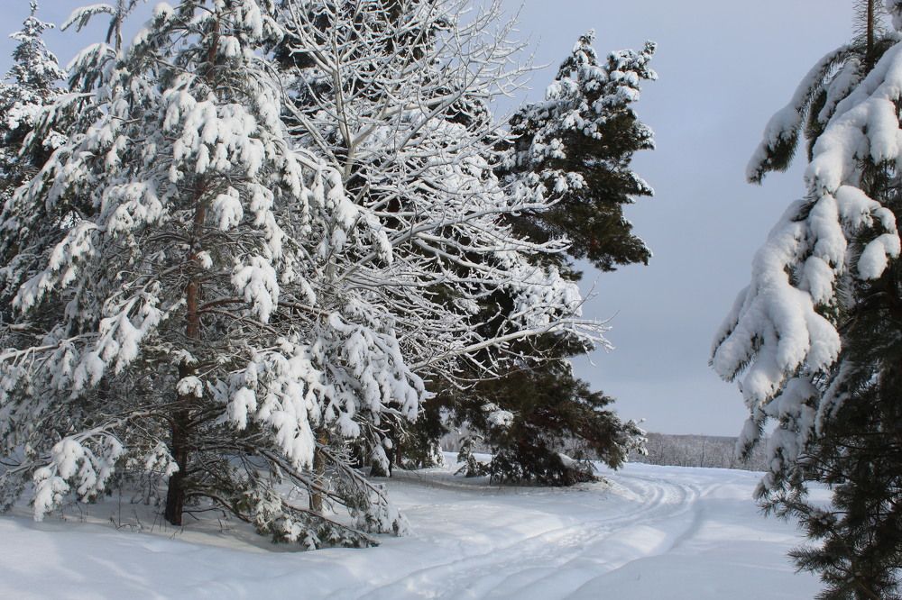 Photograph by Елена Калганова