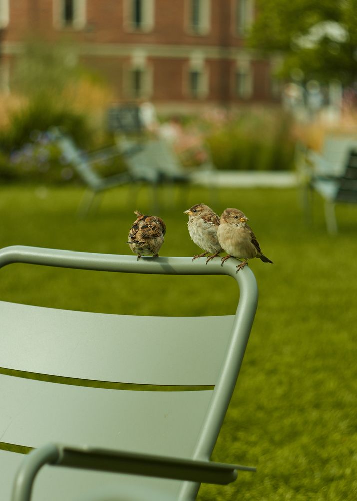 Фотография автора Александра Янчуковская