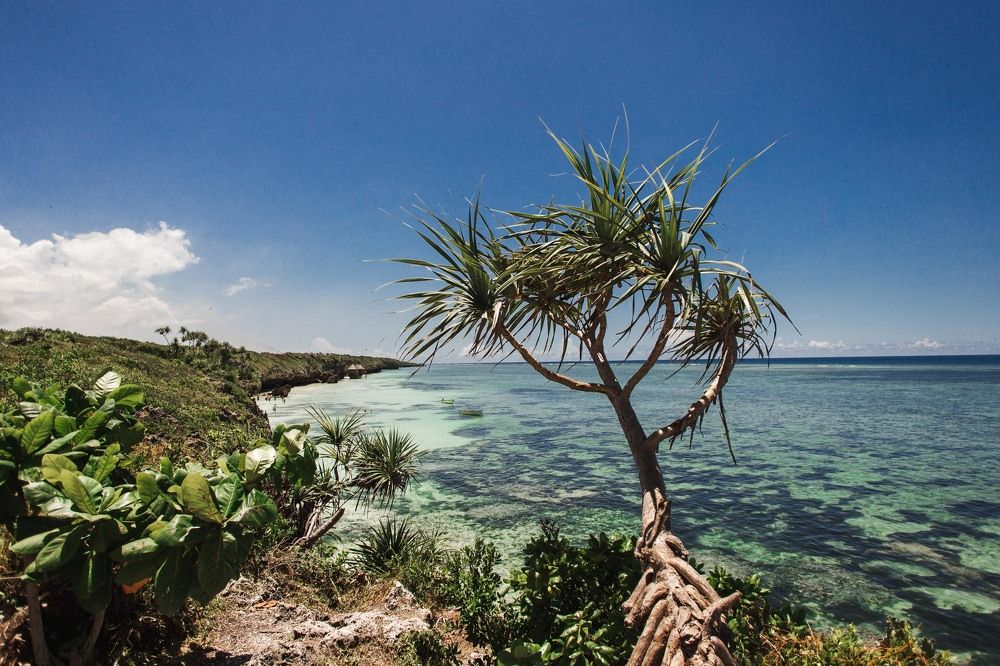 Photograph by Екатерина Затонская