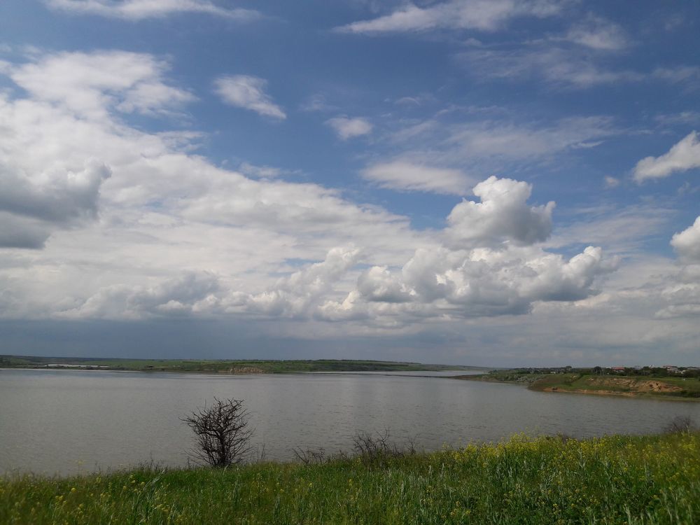 Фотография автора Алина Прищепа