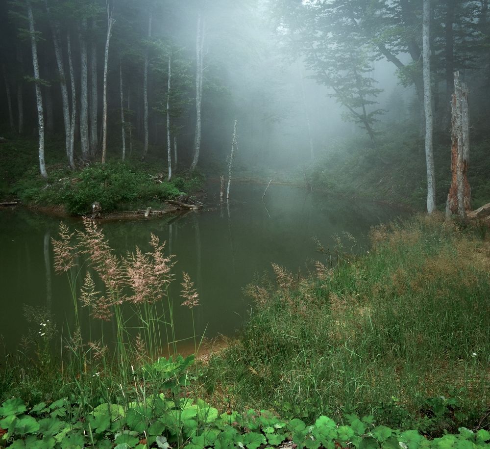 Photograph by Елена Шевченко