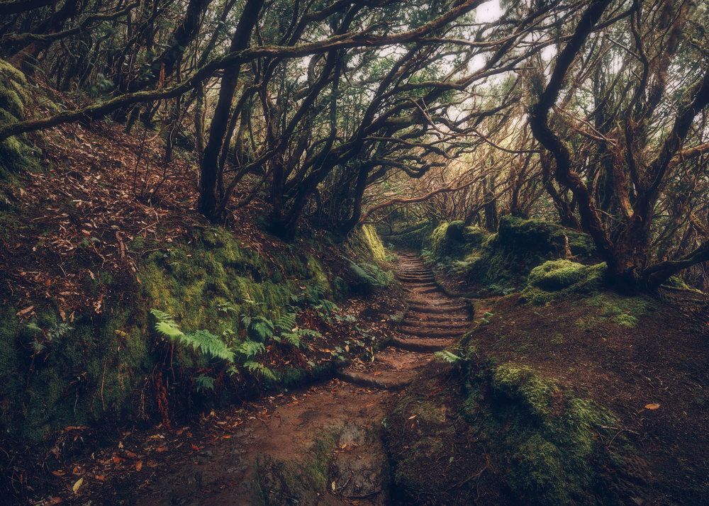 Photograph by Iris Lara