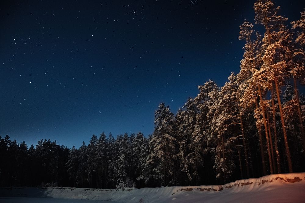 Фотография автора Alexander Komarov