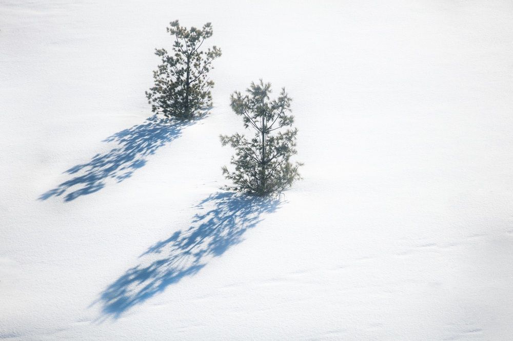 Photograph by Александр Тарханов