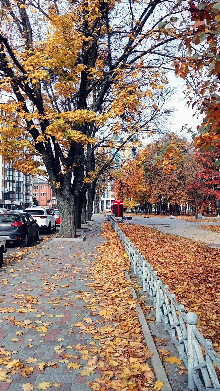 Photo #7268571