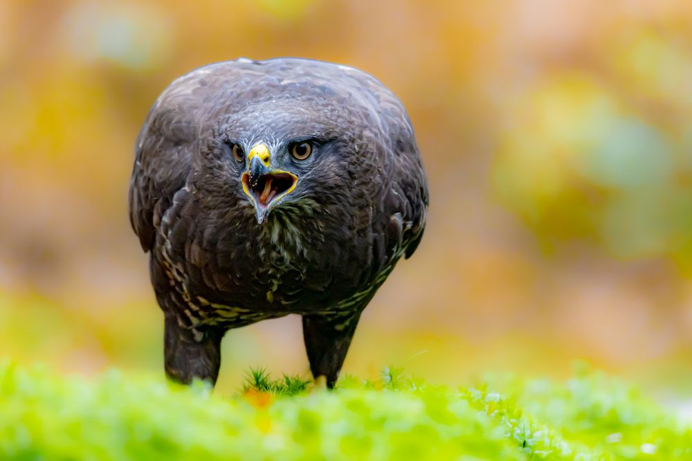 Photograph by Ellen Lichtenheldt