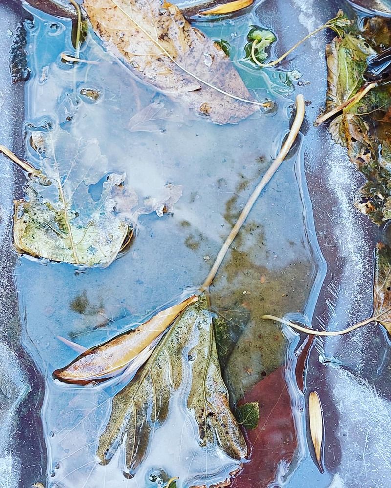 Photograph by Нина Паршина