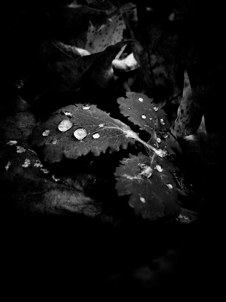 Фотография автора Владислава Андрюнина