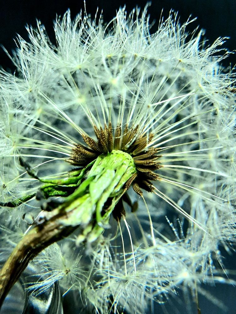 Photograph by Татьяна Григорчук