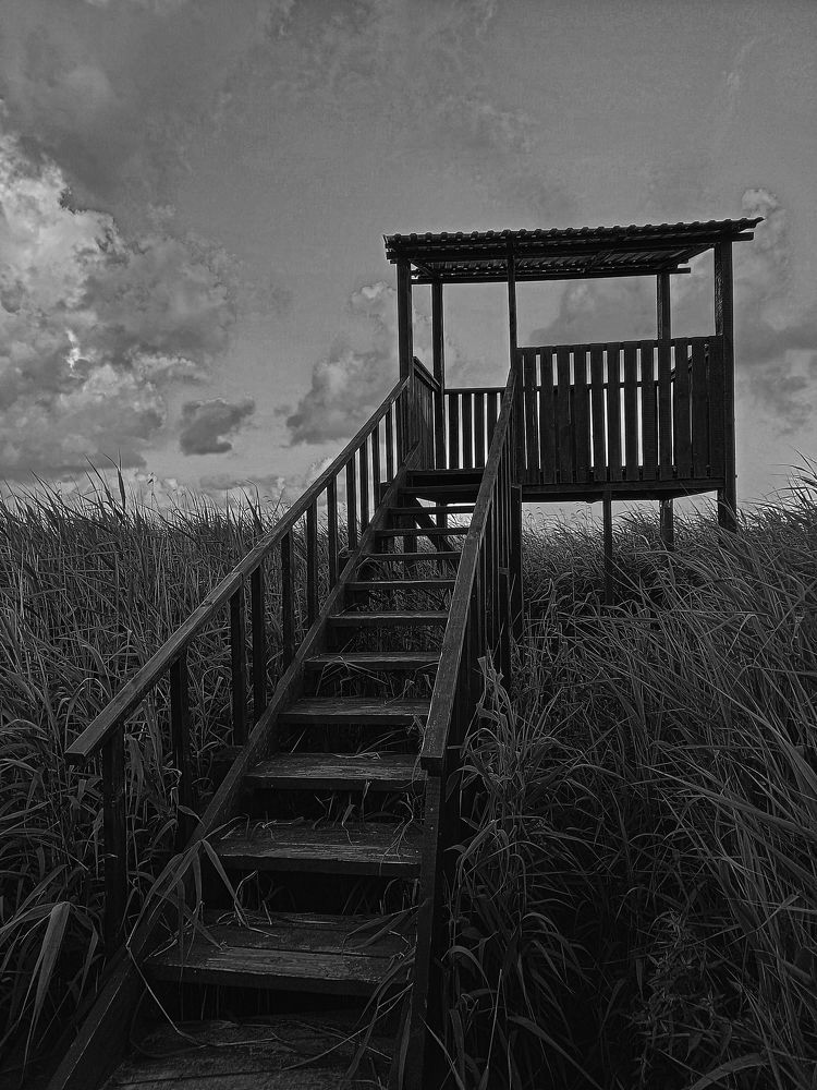 Photograph by Viktoria Vavilkina