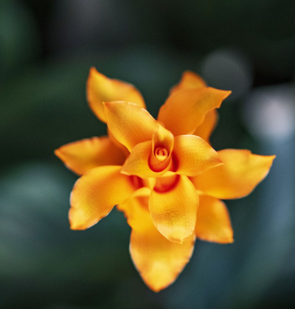 Photograph by Ksenija Planinc Kiridžiev