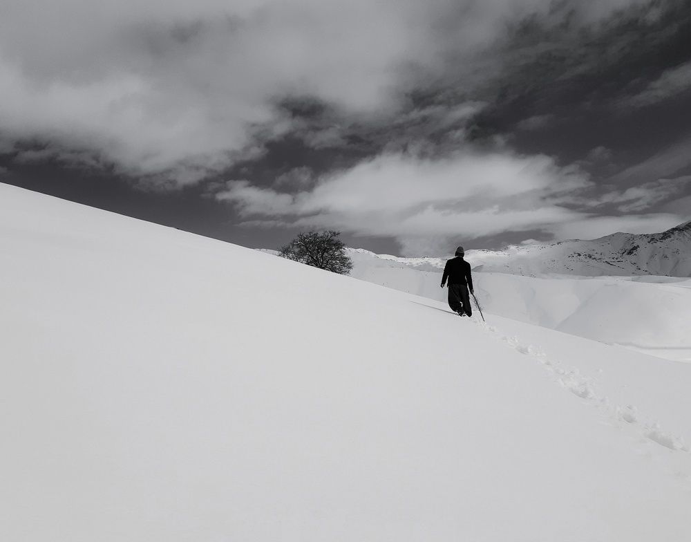 Photograph by Mohammadzaher Mohyadini