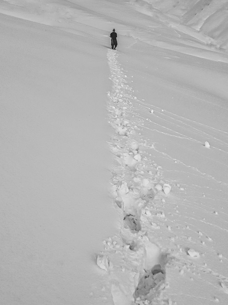 Photograph by Mohammadzaher Mohyadini