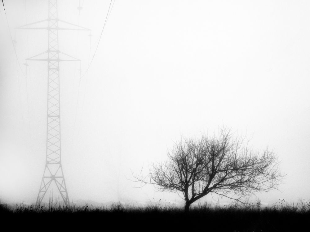 Фотография автора Тетяна Суліма