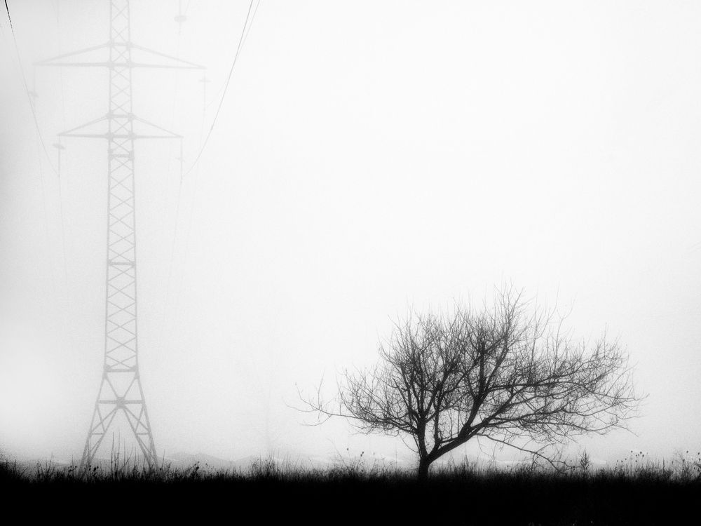 Фотография автора Тетяна Суліма