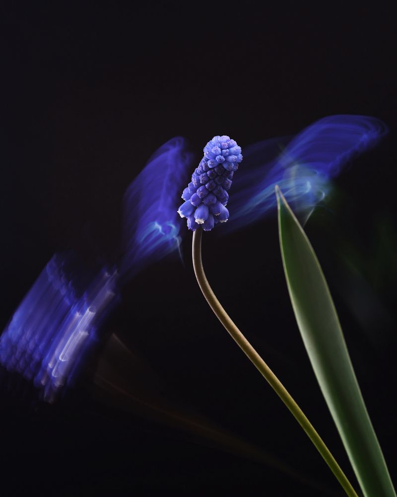 Photograph by Людмила Ефремова