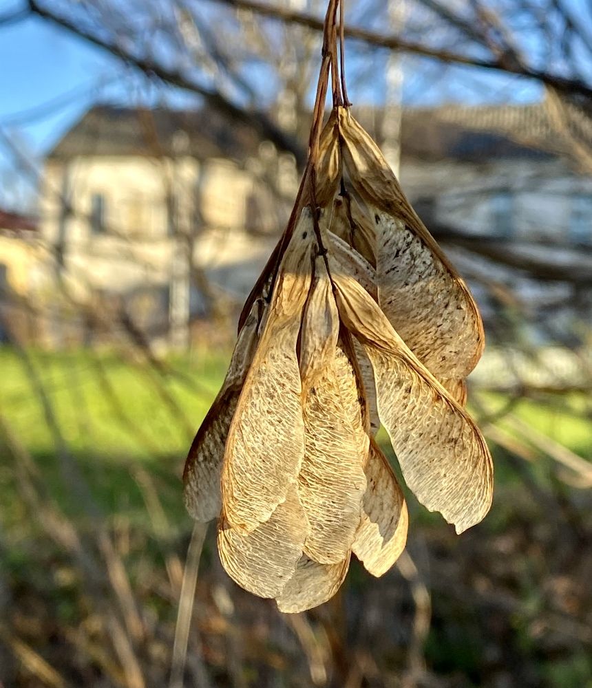 Photograph by Наталья