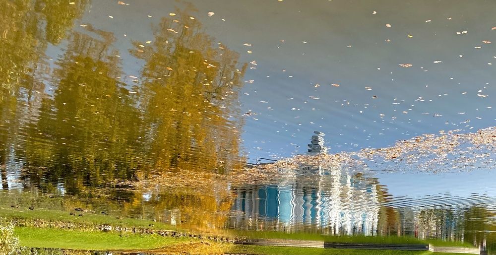 «Осенние метаморфозы».