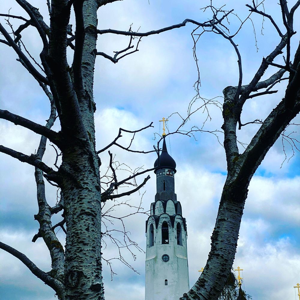 Photograph by Наталья