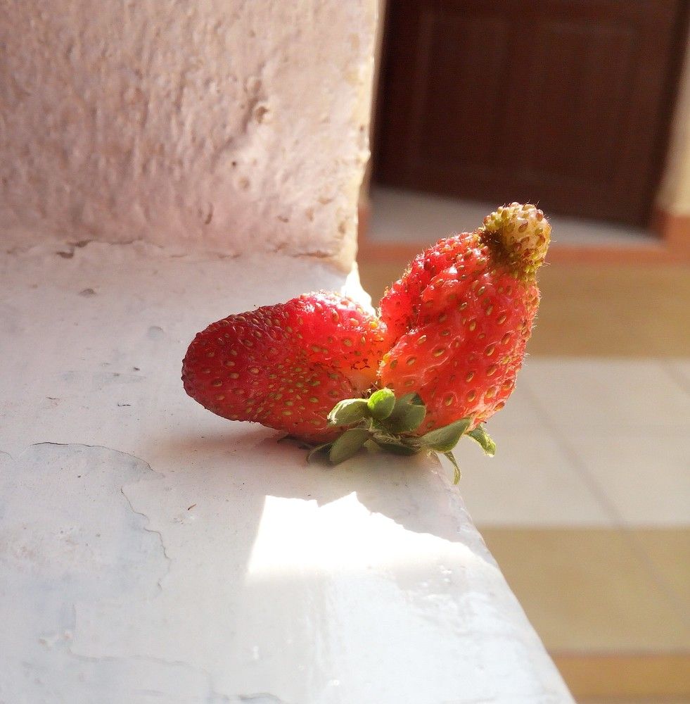 Photograph by Melisa Escobar Cano