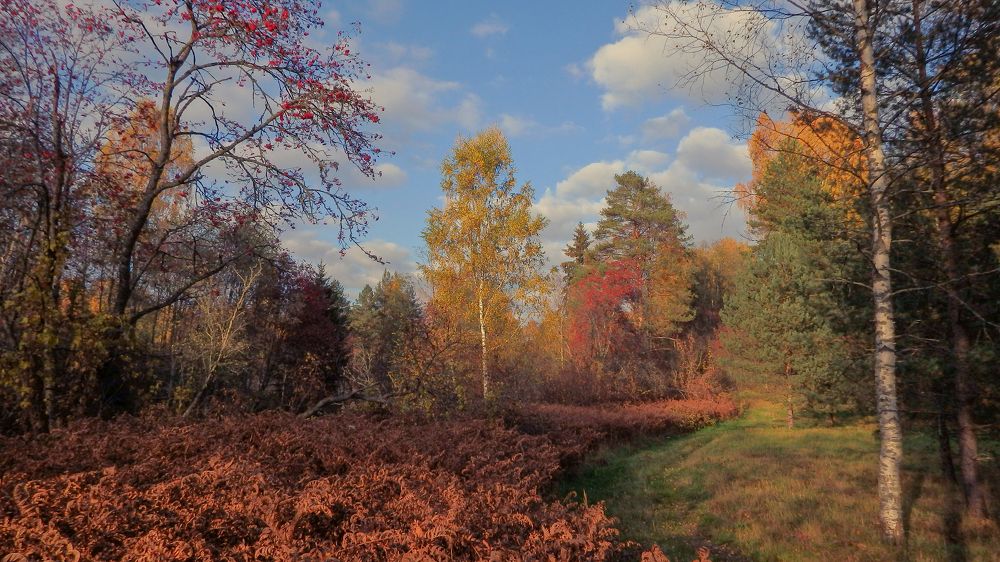 Фотография автора Boris Yakovlev