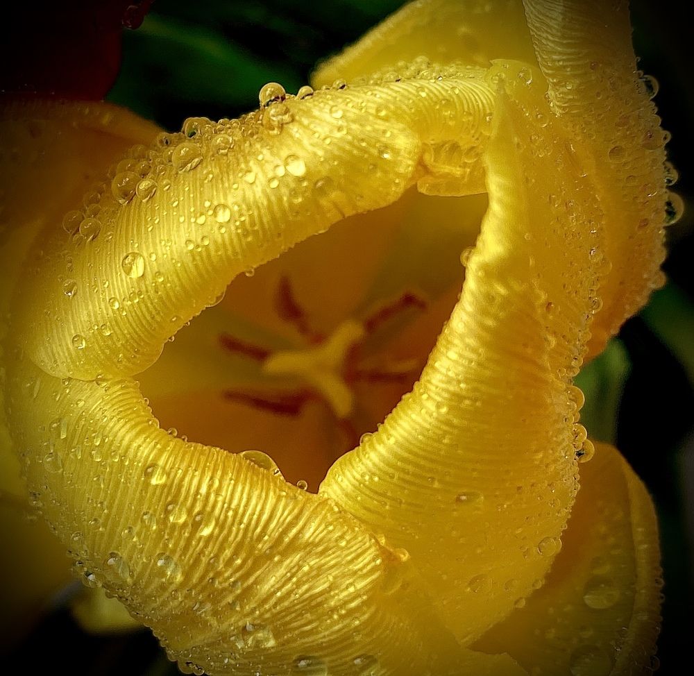 Photograph by Наталья