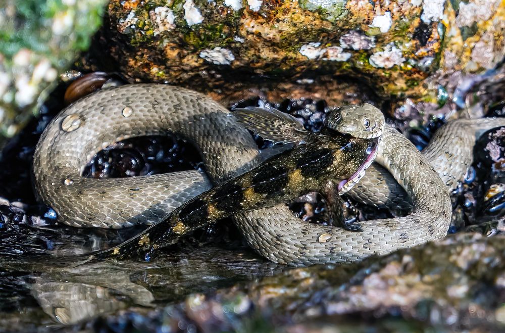 Photograph by Сергей Шишмарин