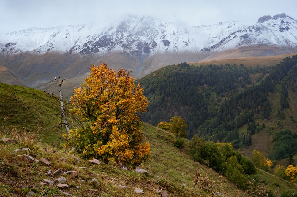 Photograph by Елена Шевченко