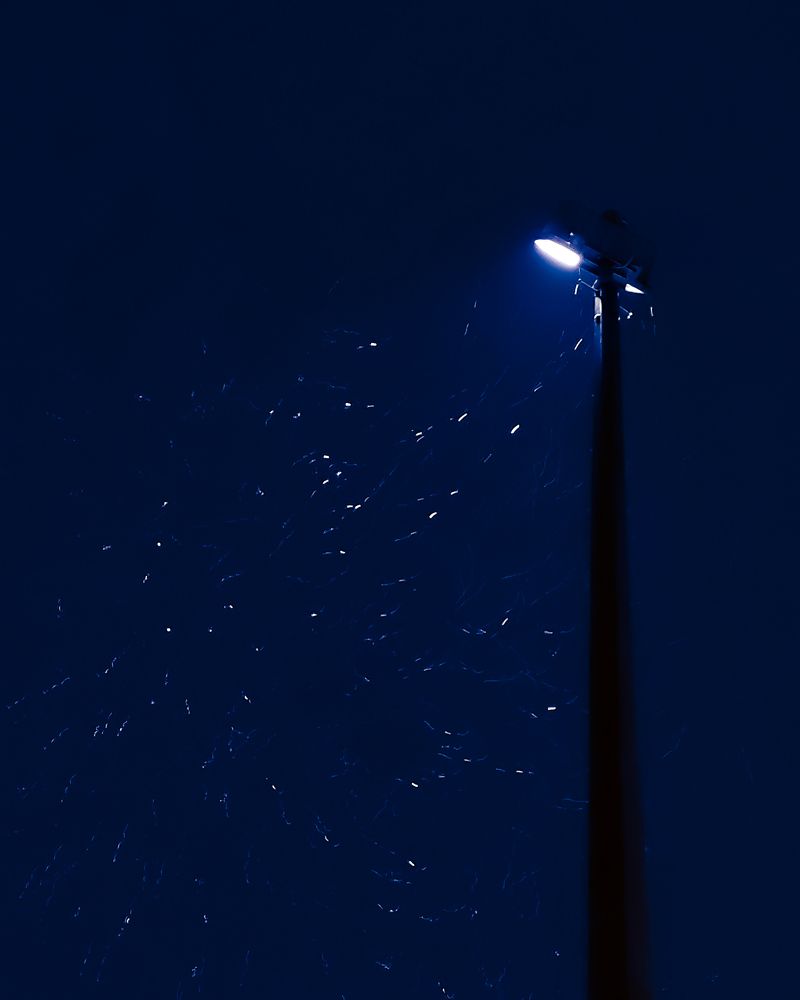 Photograph by Елена Новикова