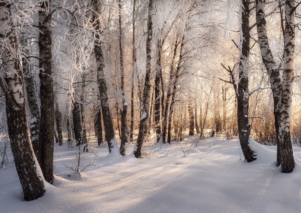 Photograph by Мозжухин Максим